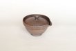 Photo7: Shigaraki pottery Japanese tea pot kyusu Hohin shiboridashi ginryo kai 120ml (7)