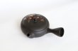 Photo3: Tokoname ware Japanese tea pot Gyokko ceramic tea strainer red flower flat 140ml (3)