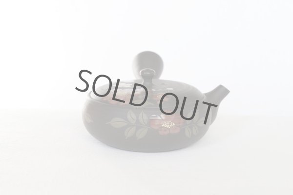 Photo2: Tokoname ware Japanese tea pot Gyokko ceramic tea strainer red flower flat 140ml (2)