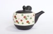 Photo8: Tokoname Japanese tea pot kyusu YT Shohou autumn leaves white 420ml (8)