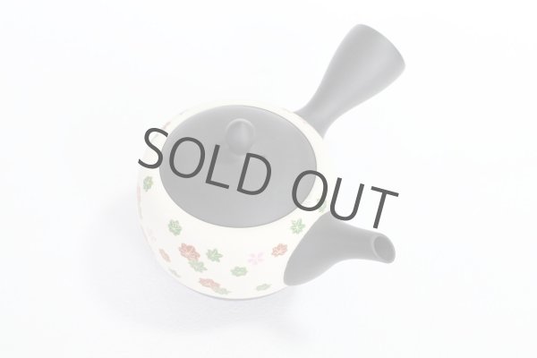 Photo7: Tokoname Japanese tea pot kyusu YT Shohou autumn leaves white 420ml (7)