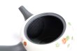 Photo6: Tokoname Japanese tea pot kyusu YT Shohou autumn leaves white 420ml (6)