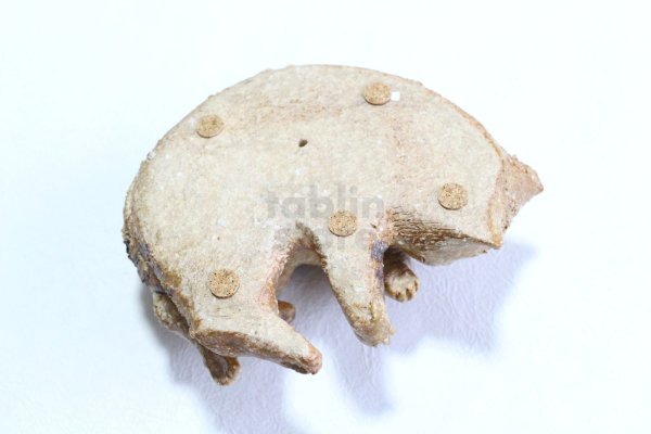 Photo5: sleep cat goro neko Shigaraki pottery Japanese doll L W15.5cm (5)