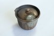 Photo1: Tokoname ware Japanese tea pot Kofu yakishime cover ceramic tea strainer 250ml (1)