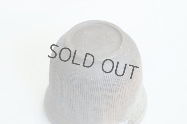 Photo4: Tokoname ware Japanese tea pot Kofu yakishime cover ceramic tea strainer 250ml (4)