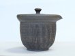 Photo8: Tokoname ware Japanese tea pot Kofu yakishime cover ceramic tea strainer 250ml (8)