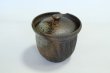 Photo10: Tokoname ware Japanese tea pot Kofu yakishime cover ceramic tea strainer 250ml (10)