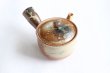 Photo4: Shigaraki pottery tea strainer Japanese tea pot kyusu shiro mingei 250ml (4)