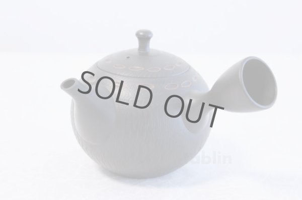 Photo1: Tokoname ware Japanese tea pot kyusu ceramic strainer YT Hokuryu birishu 360ml (1)