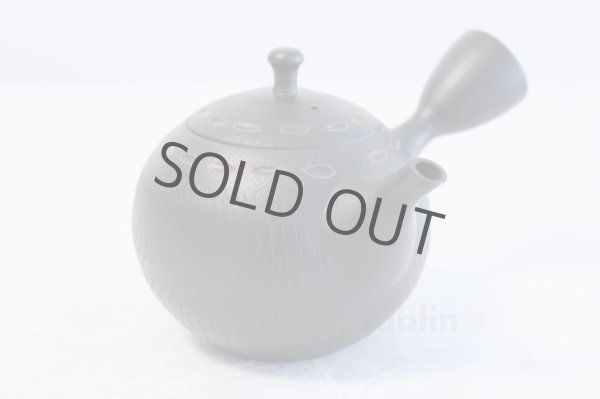 Photo2: Tokoname ware Japanese tea pot kyusu ceramic strainer YT Hokuryu birishu 360ml (2)