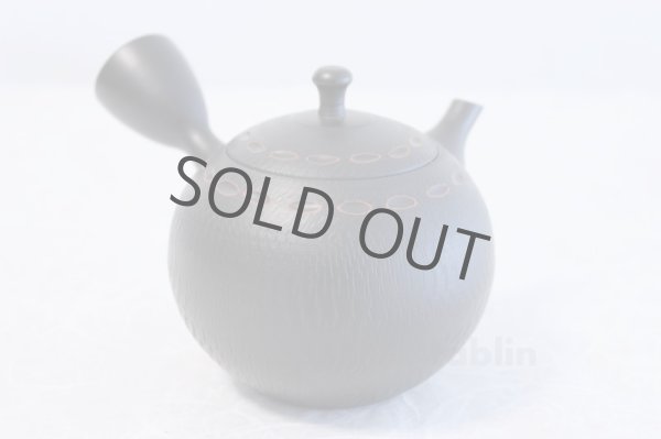 Photo3: Tokoname ware Japanese tea pot kyusu ceramic strainer YT Hokuryu birishu 360ml (3)