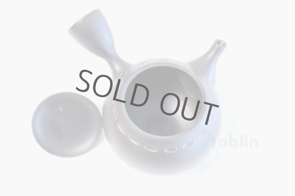Photo5: Tokoname ware Japanese tea pot kyusu ceramic strainer YT Hokuryu birishu 360ml (5)