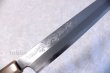 Photo1: SAKAI TAKAYUKI Japanese knife Yasuki White-2 steel With Carving Dragon Sashimi (1)