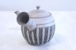 Photo2: Tokoname Japanese tea pot kyusu ceramic strainer YT Kenji hanshita gray 360ml (2)