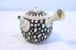 Photo1: Tokoname ware Japanese tea pot kyusu ceramic strainer YT Kenji mizutama 380ml (1)