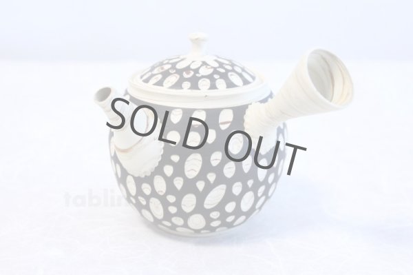 Photo1: Tokoname ware Japanese tea pot kyusu ceramic strainer YT Kenji mizutama 380ml (1)