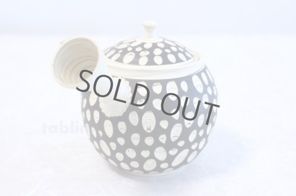 Photo2: Tokoname ware Japanese tea pot kyusu ceramic strainer YT Kenji mizutama 380ml (2)