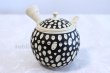 Photo3: Tokoname ware Japanese tea pot kyusu ceramic strainer YT Kenji mizutama 380ml (3)