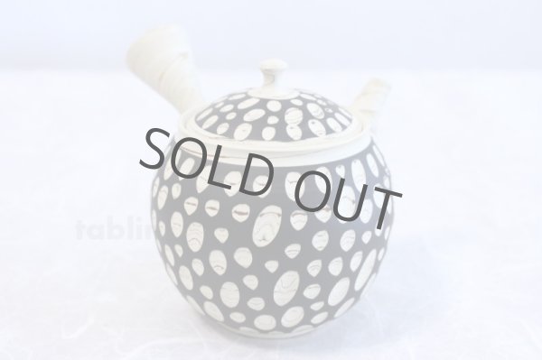 Photo3: Tokoname ware Japanese tea pot kyusu ceramic strainer YT Kenji mizutama 380ml (3)