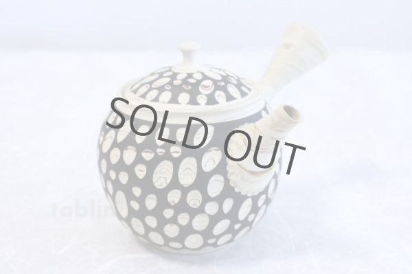 Photo4: Tokoname ware Japanese tea pot kyusu ceramic strainer YT Kenji mizutama 380ml (4)