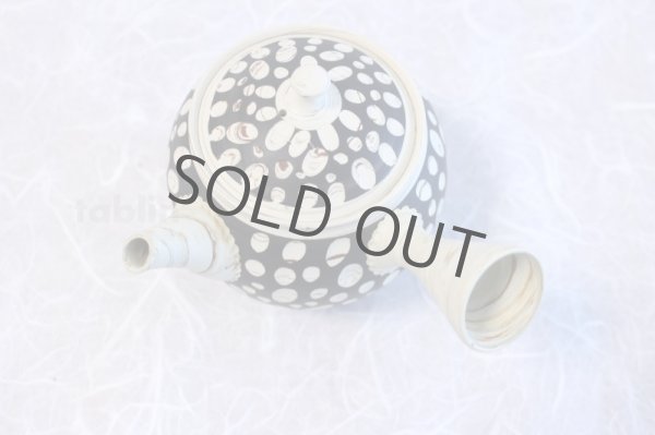 Photo5: Tokoname ware Japanese tea pot kyusu ceramic strainer YT Kenji mizutama 380ml (5)