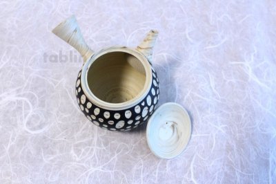 Photo2: Tokoname ware Japanese tea pot kyusu ceramic strainer YT Kenji mizutama 380ml