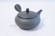 Photo3: Tokoname yaki ware Japanese tea pot Horyu ceramic tea strainer 280ml (3)