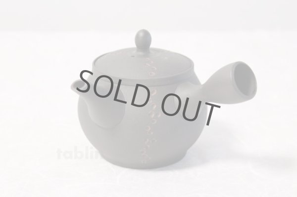 Photo2: Tokoname ware Japanese tea pot kyusu ceramic strainer YT Sekiryu notauchi 340m (2)