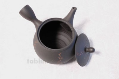 Photo2: Tokoname ware Japanese tea pot kyusu ceramic strainer YT Sekiryu notauchi 340m