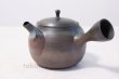 Photo2: Tokoname yaki ware Japanese tea pot Gyokko ceramic tea strainer hogama 480ml (2)