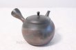 Photo3: Tokoname yaki ware Japanese tea pot Gyokko ceramic tea strainer hogama 480ml (3)