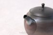 Photo4: Tokoname yaki ware Japanese tea pot Gyokko ceramic tea strainer hogama 480ml (4)