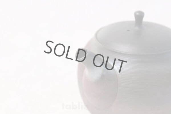 Photo4: Tokoname yaki ware Japanese tea pot Gyokko ceramic tea strainer hogama 480ml (4)