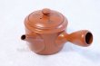 Photo2: Tokoname ware Japanese tea pot kyusu stainless strainer Takeharu kiln 500ml (2)