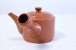 Photo3: Tokoname ware Japanese tea pot kyusu stainless strainer Takeharu kiln 500ml (3)