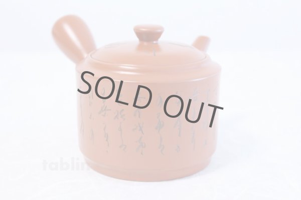 Photo1: Tokoname ware Japanese tea pot kyusu stainless strainer Takeharu kiln 500ml (1)