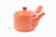 Photo4: Tokoname ware Japanese tea pot kyusu stainless strainer Takeharu kiln 500ml (4)