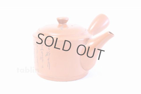 Photo4: Tokoname ware Japanese tea pot kyusu stainless strainer Takeharu kiln 500ml (4)