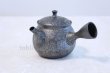 Photo1: Tokoname yaki ware Japanese tea pot Shoryu Tenmokuk ceramic tea strainer 200ml (1)