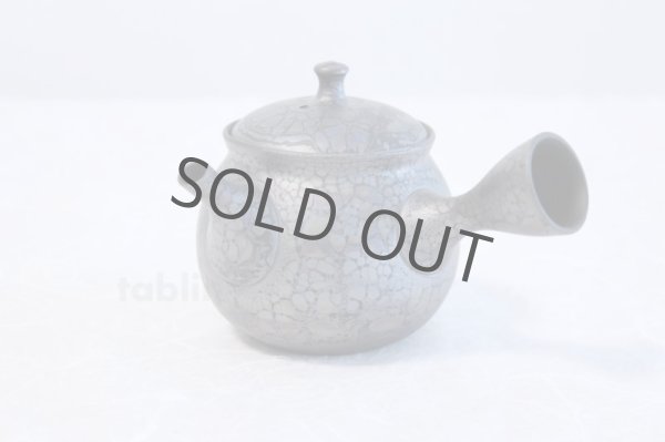 Photo1: Tokoname yaki ware Japanese tea pot Shoryu Tenmokuk ceramic tea strainer 200ml (1)