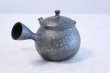 Photo2: Tokoname yaki ware Japanese tea pot Shoryu Tenmokuk ceramic tea strainer 200ml (2)