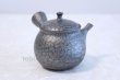 Photo3: Tokoname yaki ware Japanese tea pot Shoryu Tenmokuk ceramic tea strainer 200ml (3)