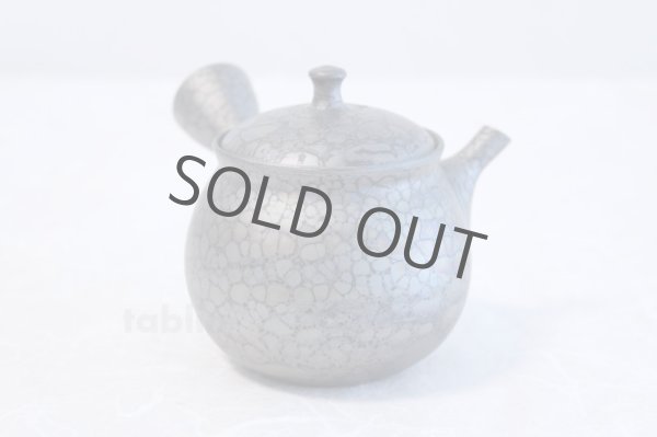 Photo3: Tokoname yaki ware Japanese tea pot Shoryu Tenmokuk ceramic tea strainer 200ml (3)