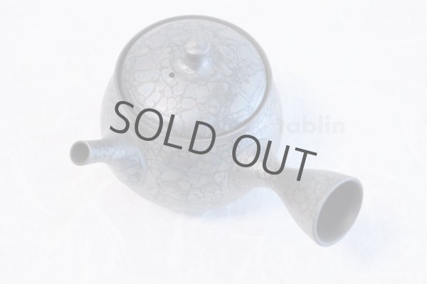 Photo4: Tokoname yaki ware Japanese tea pot Shoryu Tenmokuk ceramic tea strainer 200ml (4)