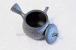 Photo5: Tokoname yaki ware Japanese tea pot Shoryu Tenmokuk ceramic tea strainer 200ml (5)