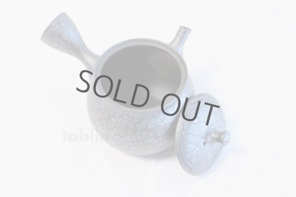 Photo5: Tokoname yaki ware Japanese tea pot Shoryu Tenmokuk ceramic tea strainer 200ml (5)