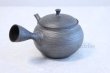 Photo2: Tokoname ware Japanese tea pot kyusu ceramic strainer YT Shoryu tenmoku 390ml (2)