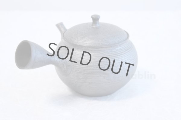 Photo2: Tokoname ware Japanese tea pot kyusu ceramic strainer YT Shoryu tenmoku 390ml (2)