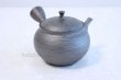 Photo1: Tokoname ware Japanese tea pot kyusu ceramic strainer YT Shoryu tenmoku 390ml (1)