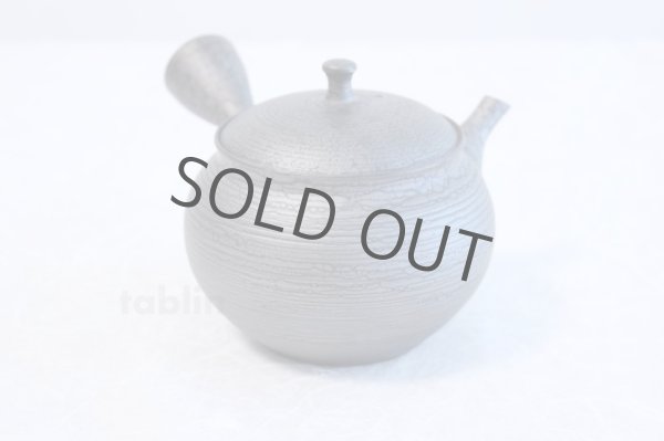 Photo1: Tokoname ware Japanese tea pot kyusu ceramic strainer YT Shoryu tenmoku 390ml (1)